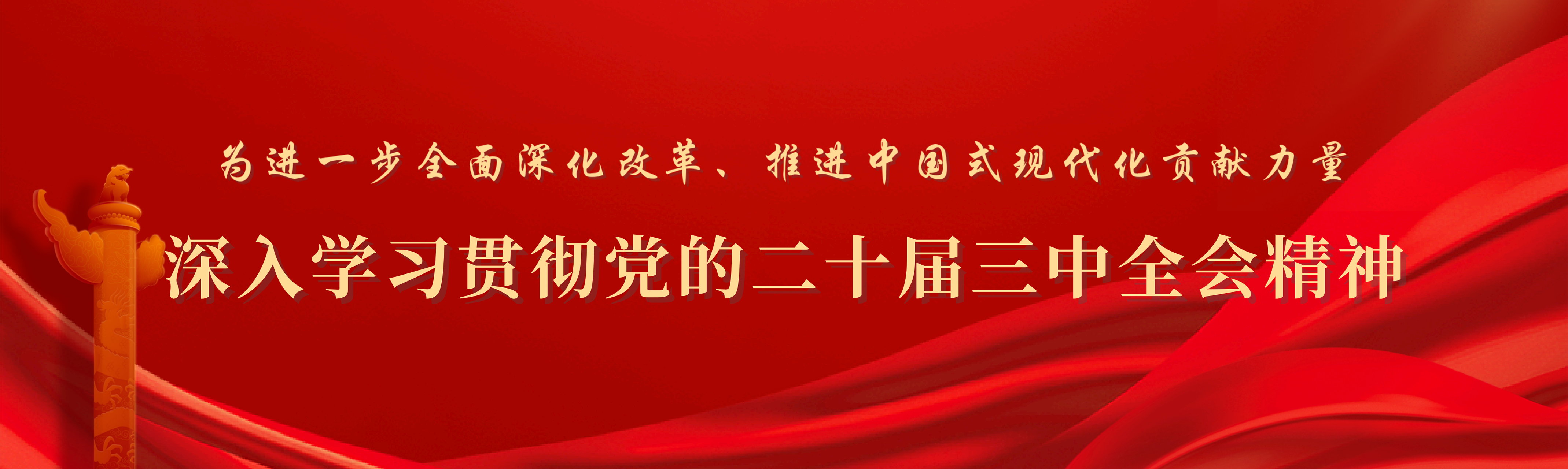 深入学习贯彻党的二十届三中全会精神