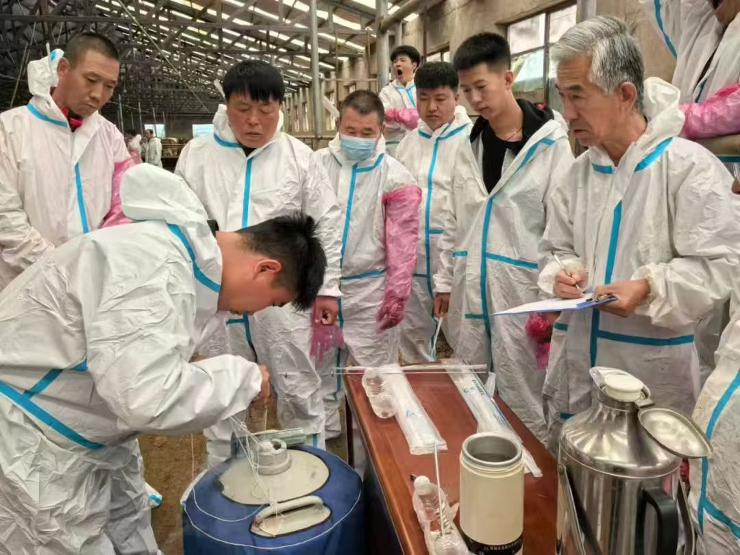 微信图片_20240905090447.jpg