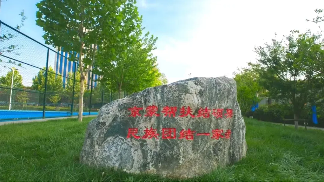 11.png
